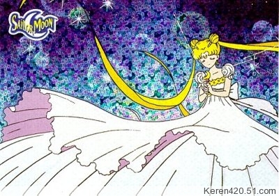 谁知道美少女战士月亮公主闪图